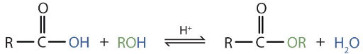 A carboxylic acid reacts with an alcohol in the presence of acid to form an ester and water.